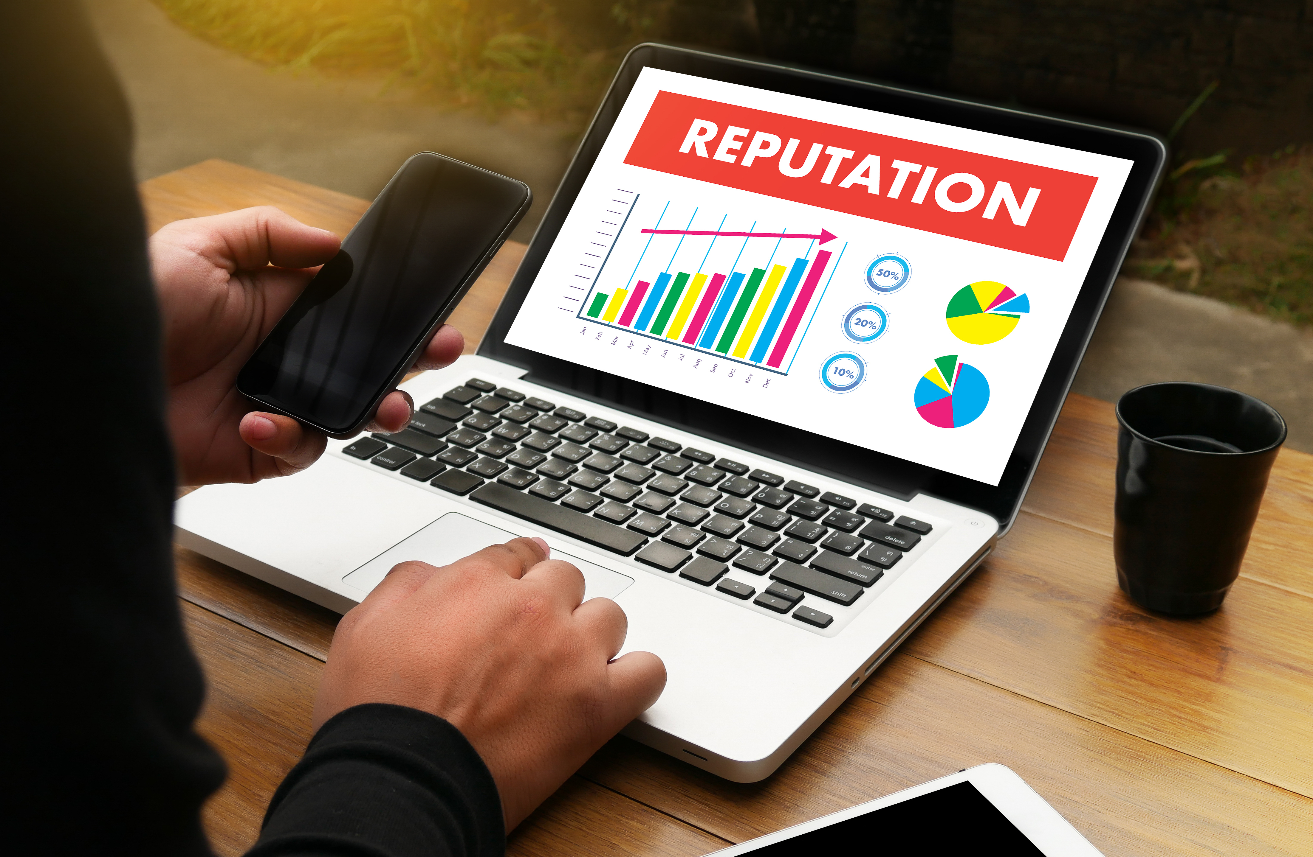Laptop being used with a screen depicting a graph with the heading Reputation